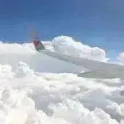 suuの画像
