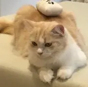 Mel