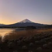 t.の画像