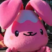 ポン吉maxの画像