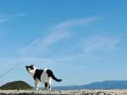 ぽこ★☆の画像