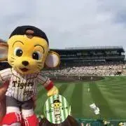 【断捨離中】めめたんの画像