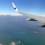 クイナの画像