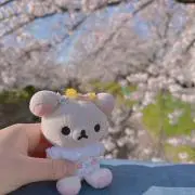 コリラックマの画像
