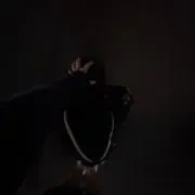 統の画像