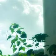 廣田ケンジ