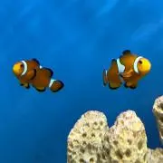 あおむしくん