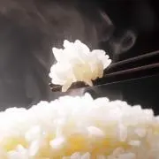はくまいの画像