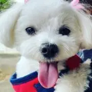 ひかるの画像