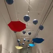 Violaの画像