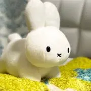 すりみの画像