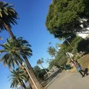 meiの画像