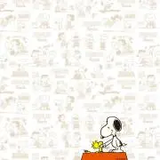 0707の画像