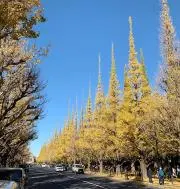 Asahiの画像
