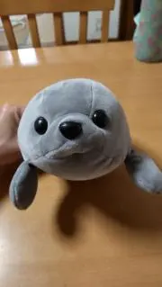 まよの画像