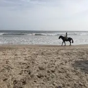 ！！！！！の画像