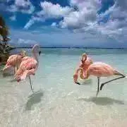 ポールジェンセン ダンビュライトペンダントトップ - メルカリ