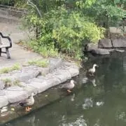 みかあさんの画像