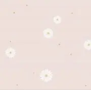 Rの画像