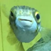気紛れ問屋【歌憑き】
