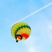 PIYO PIYOの画像