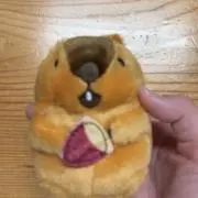 おしるこの画像