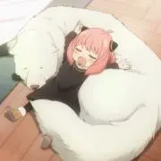 ルの画像