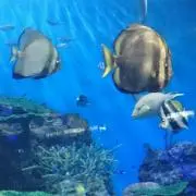 サマー☆