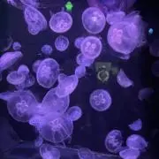 Y♡の画像
