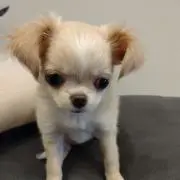 ♡YUN♡の画像
