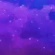 YYの画像