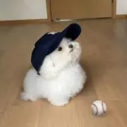 xyuntaxの画像