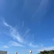 ひまわりの画像
