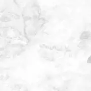 Nanの画像