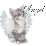 ♡