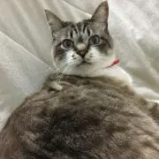みな