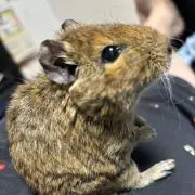 梱包は全て簡易梱包です！プロフ見て下さいの画像