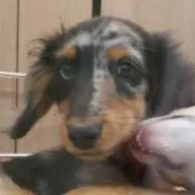 キャサリン。の画像