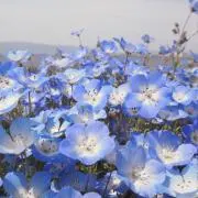 Riiiiinaの画像