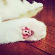 たーけーの画像