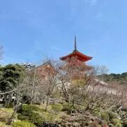 えにーの画像