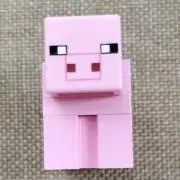 ぺこの画像