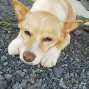 みくももの画像