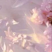 りりーの画像