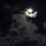 プロフ必読