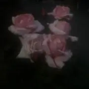 あの画像