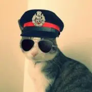 ばおばおの画像