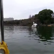 kkの画像
