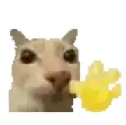 ファけ
