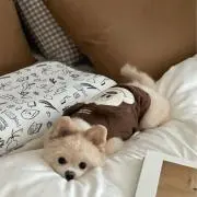 まらたん※週末値下げ※の画像